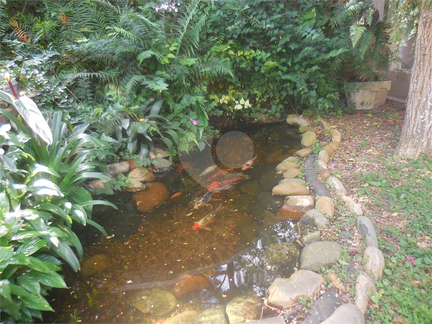 Casa à venda com 4 quartos, sendo 1 suíte,  em Interlagos, São Paulo, SP