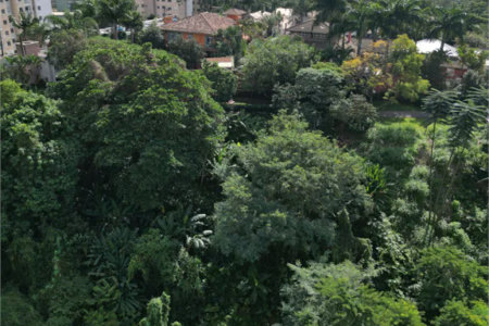 Terreno à venda em Paraisópolis, São Paulo, SP