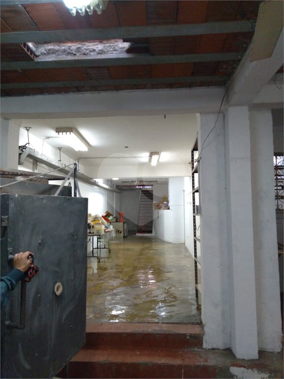 Casa à venda ou para alugar com 5 quartos, sendo 3 suítes, em Cambuci, São Paulo, SP