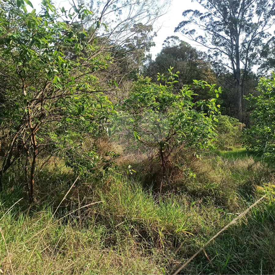 Terreno à venda em Bosque dos Eucalíptos, Atibaia, SP
