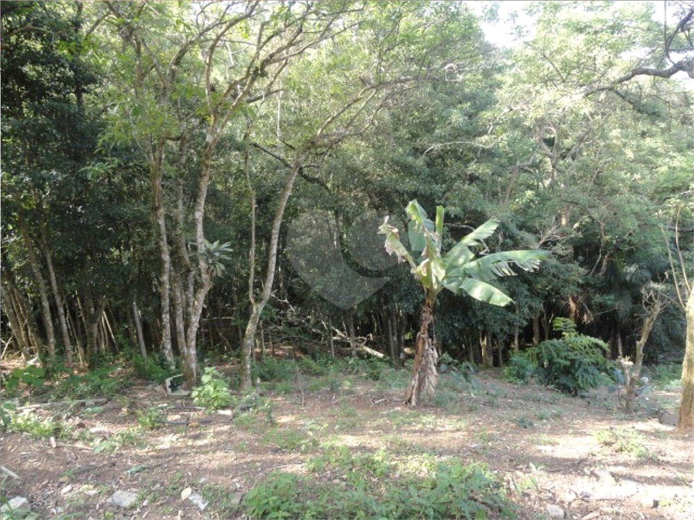 Terreno à venda em Samambaia, Mairiporã, SP
