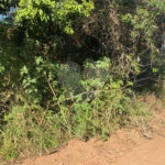 Terreno à venda em Marina, Armação dos Búzios, RJ