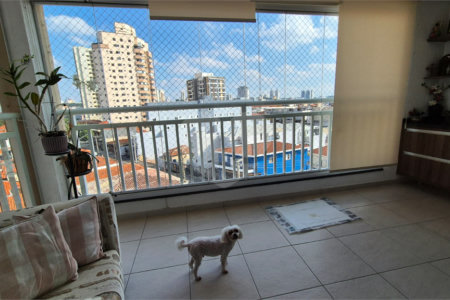 Apartamento à venda com 3 quartos, sendo 1 suíte, em Chora Menino, São Paulo, SP