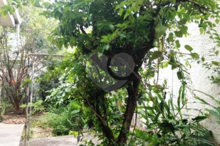 Casa Térrea à venda com 3 quartos, sendo 1 suíte, em Vila Cordeiro, São Paulo, SP
