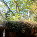 Casa à venda com 3 quartos, sendo 2 suítes, em Morumbi, São Paulo, SP