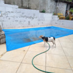 Chácara à venda com 2 quartos, sendo 1 suíte, em Jardim Saltense, Salto, SP