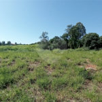 Terreno à venda em Pinheirinho, Vinhedo, SP