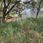 Terreno à venda em Tucuruvi, São Paulo, SP