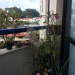 Apartamento à venda com 3 quartos, sendo 1 suíte, em Tucuruvi, São Paulo, SP