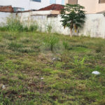 Terreno para alugar no Centro, Araraquara, SP