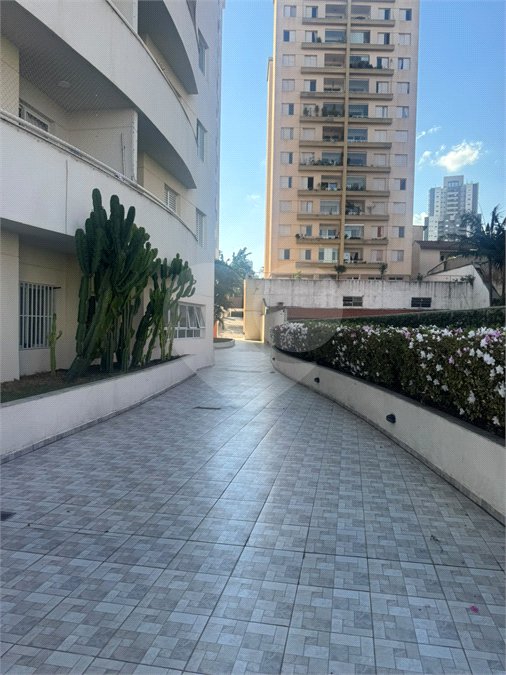 Apartamento à venda com 3 quartos, sendo 1 suíte, em Tucuruvi, São Paulo, SP