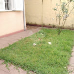 Casa Térrea à venda com 2 quartos, sendo 1 suíte, em Casa Verde, São Paulo, SP