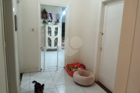 Casa à venda com 5 quartos, sendo 2 suítes, em Água Fria, São Paulo, SP