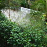 Casa à venda com 3 quartos, sendo 1 suíte, em Roseira, Mairiporã, SP