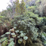 Apartamento Residencial à venda, Barra Funda, Guarujá - AP0311.