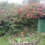 Excelente oportunidade de venda em condomínio fechado.
