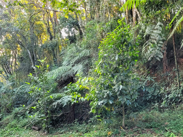 Terreno à venda no condomínio Itatiaia, Mairiporã - SP
