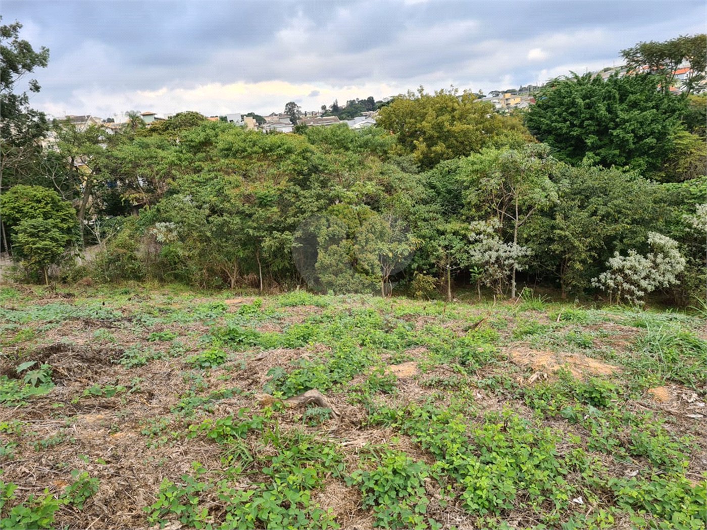 Terreno à venda em Bosque, Vinhedo, SP