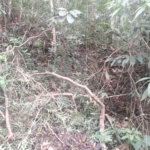 Terreno à venda em Suasalito, Mairiporã, SP