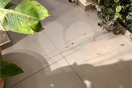 Casa à venda com 2 quartos no condomínio Alameda Vida e Lazer, Suzano - SP