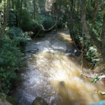 Terreno à venda com 1 quarto no condomínio Ecovile Araçariguama, Araçariguama - SP