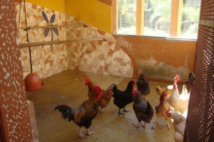 Sobrado à venda com 5 suítes em Juqueri Mirim, Mairiporã, SP