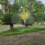 Chácara à venda com 4 quartos, sendo 3 suítes,  em Chácaras de Recreio Ingá, Indaiatuba, SP