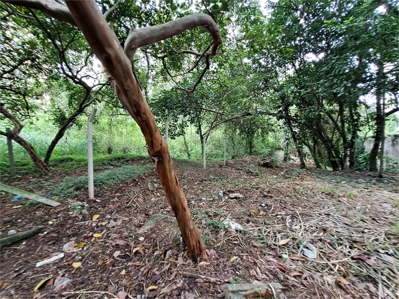 Terreno à venda em Jardim Ampliação, São Paulo, SP