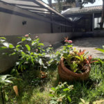 Apartamento à venda com 2 quartos, sendo 1 suíte, em Casa Verde, São Paulo, SP