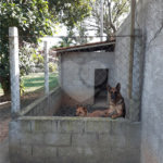 Chácara à venda com 3 quartos no Centro, Monte Mor, SP