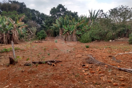 Terreno à venda em Vila Judite, Itapetininga, SP