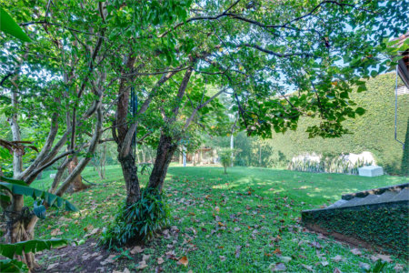 Terreno à venda em Jardim Petropolis, São Paulo, SP