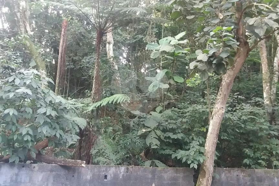Terreno à venda em Tucuruvi, São Paulo, SP