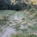 Terreno à venda em Vila Darcy Penteado (mailasqui), São Roque, SP