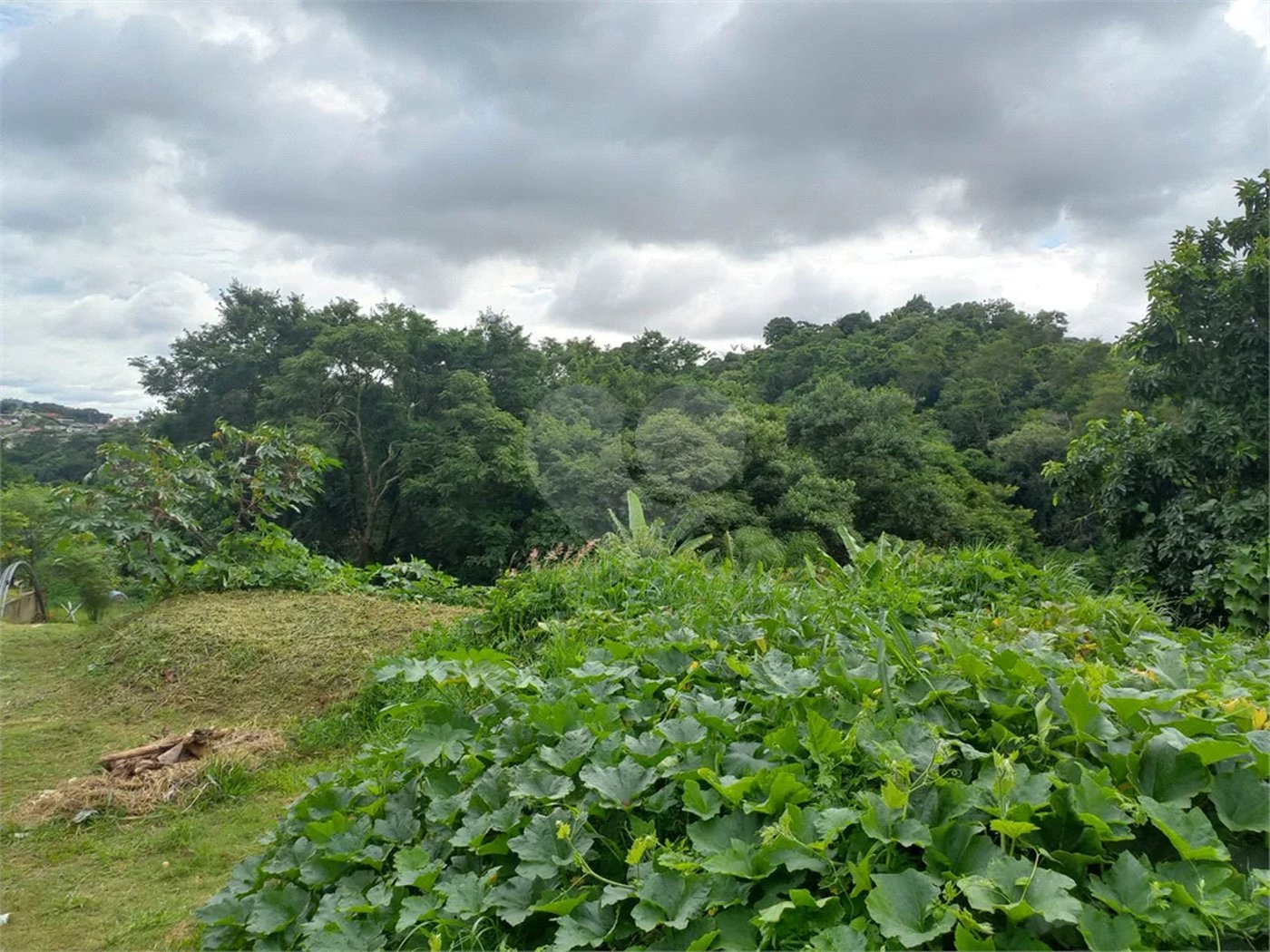 Terreno à venda em Parque dos Cafezais III, Itupeva, SP