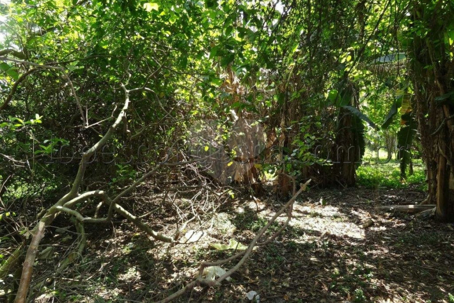 Terreno à venda em Horto Florestal, São Paulo, SP