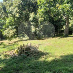Chácara à venda com 5 quartos, sendo 1 suíte, em Estância São Luís, Suzano, SP