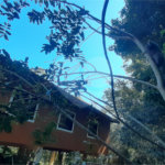 Casa à venda com 3 quartos, sendo 1 suíte, no condomínio Sausalito, Mairiporã - SP