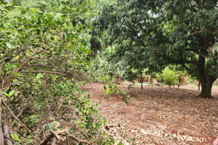 Chácara à venda com 2 quartos em Jardim Califórnia, Araraquara, SP