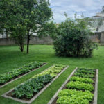 Chácara à venda com 3 quartos, sendo 1 suíte, em Bosque, Vinhedo, SP