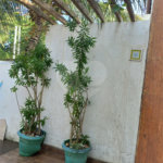 Casa à venda com 2 suítes em Tucuns, Armação dos Búzios, RJ
