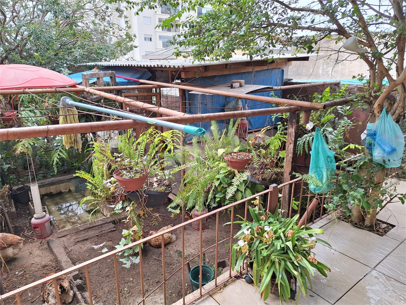 Casa Térrea à venda com 5 quartos, sendo 3 suítes,  em Vila Mazzei, São Paulo, SP