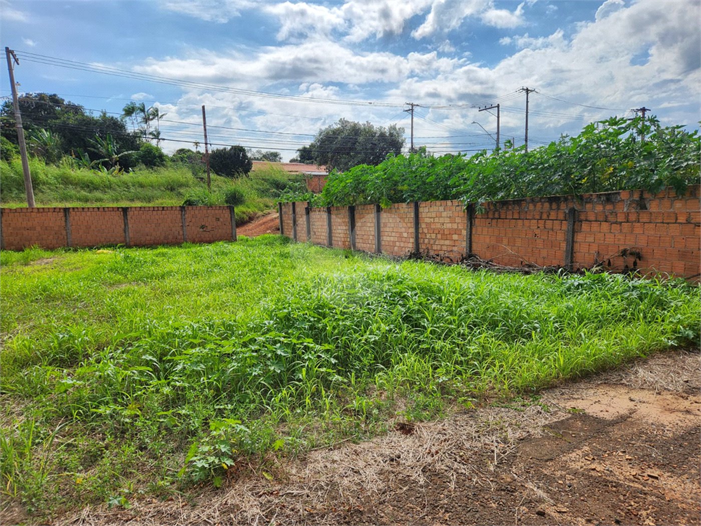 Terreno à venda em Parque Alvorada, Araraquara, SP