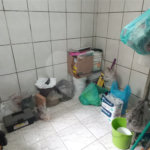 Sobrado à venda com 3 quartos, sendo 1 suíte,  em Tremembé, São Paulo, SP