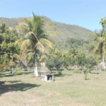 Sítio à venda com 4 quartos, sendo 3 suítes, em Caxito, Maricá, RJ