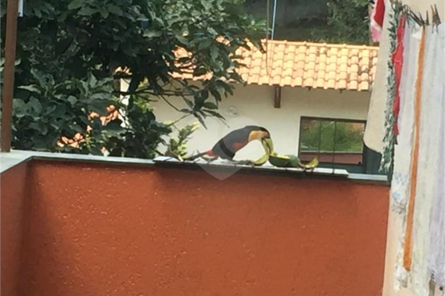 Sobrado à venda com 6 quartos, sendo 2 suítes, em Horto Florestal, São Paulo, SP