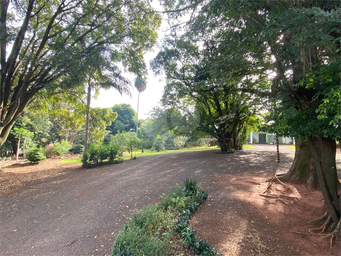 Terreno à venda com 1 suíte no Centro, Araraquara, SP