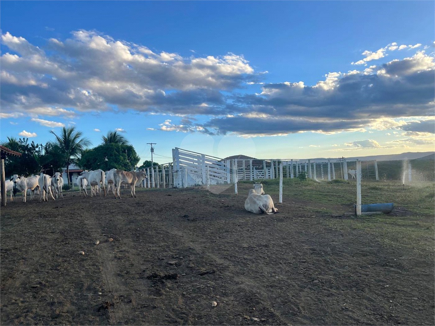 Fazenda à venda com 6 quartos, sendo 1 suíte,  no Centro, Capitão Enéas, MG