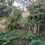 Terreno à venda em Tremembé, São Paulo, SP