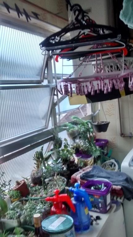 Apartamento à venda com 3 quartos, sendo 1 suíte, em Jaçanã, São Paulo, SP